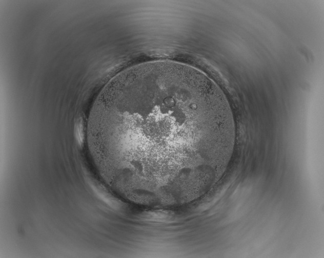 X0000112890069200908211503