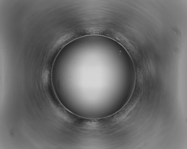 X0000112890071200908211503