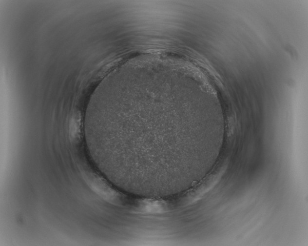 X0000112890073200908211503
