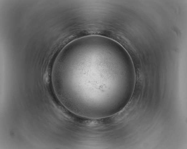 X0000112890074200908211503