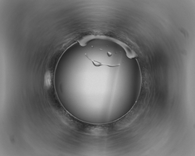 X0000112890075200908211503