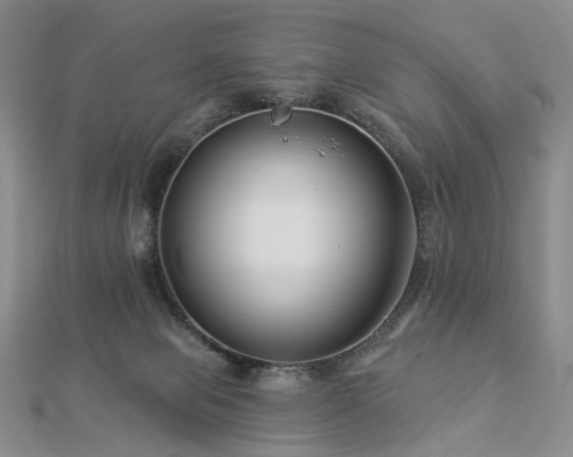 X0000112890077200908211503