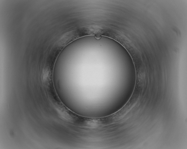 X0000112890079200908211503