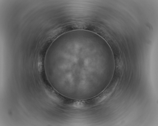 X0000112890080200908211503