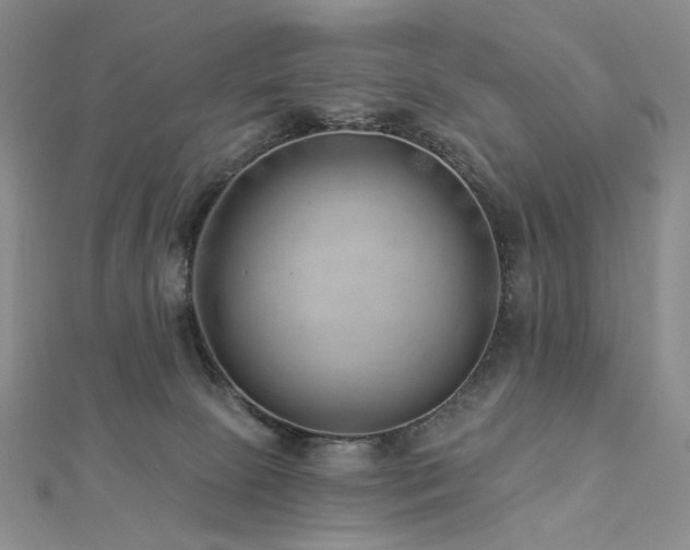 X0000112890081200908211503