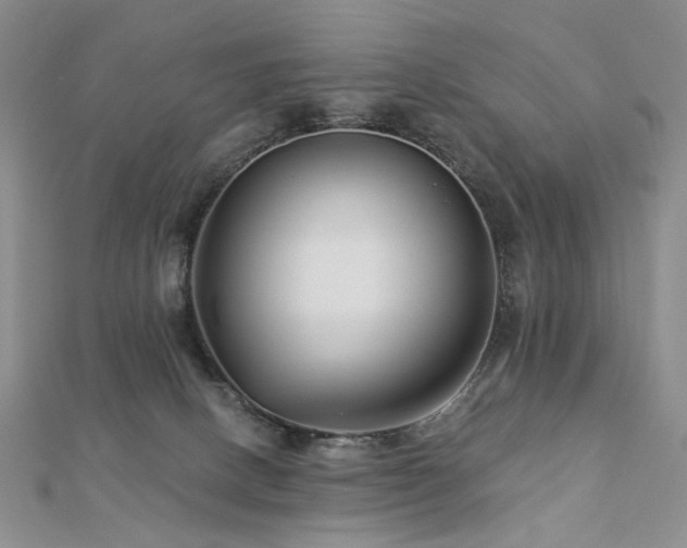 X0000112890082200908211503