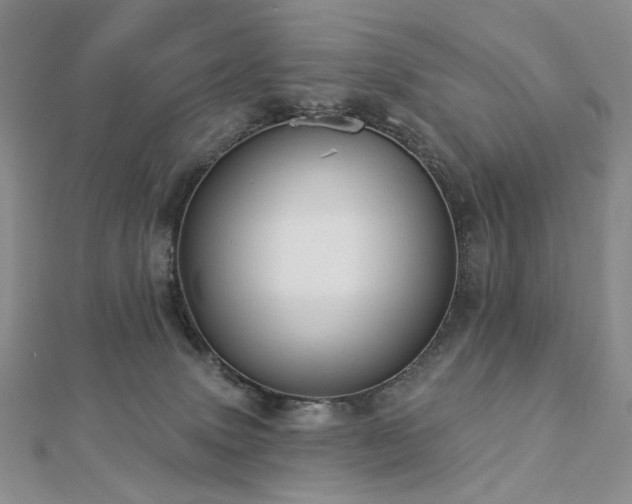 X0000112890083200908211503