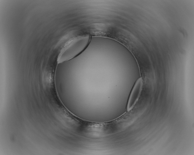 X0000112890084200908211503