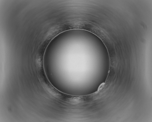 X0000112890086200908211503