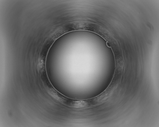 X0000112890087200908211503
