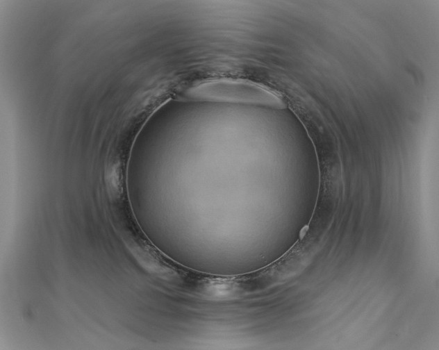 X0000112890088200908211503