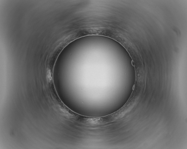X0000112890089200908211503