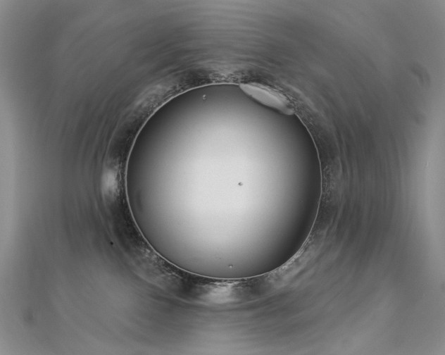X0000112890090200908211503