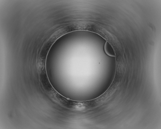 X0000112890091200908211503