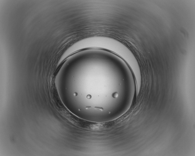 X0000112890092200908211503
