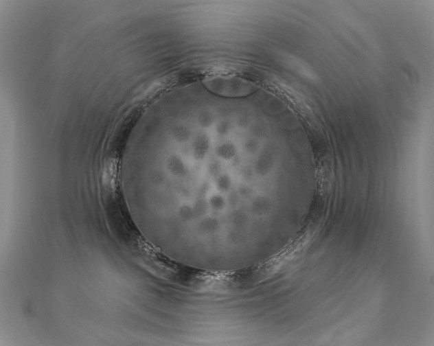 X0000112890093200908211503