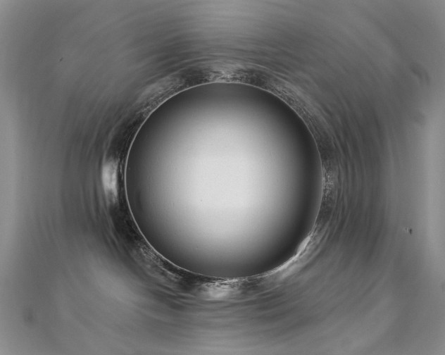 X0000112890094200908211503