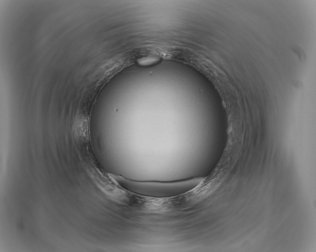 X0000112890096200908211503