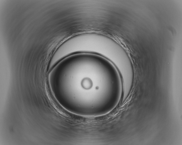 X0000112890097200908211503