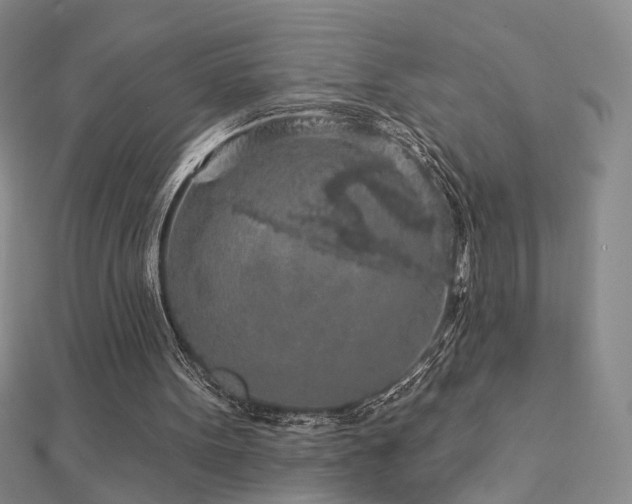 X0000112890099200908211503