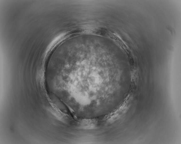 X0000112890101200908211502