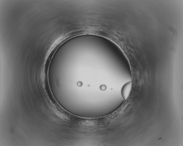 X0000112890102200908211502
