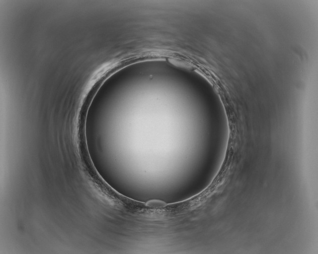 X0000112890104200908211502