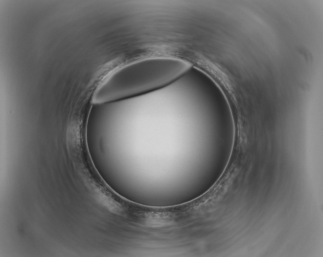 X0000112890105200908211502