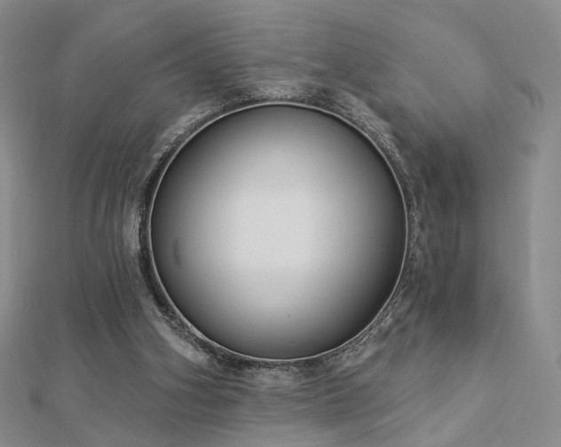 X0000112890106200908211502