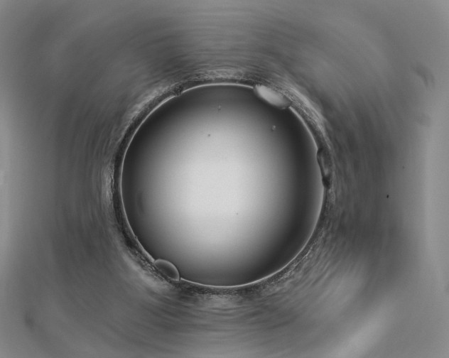 X0000112890107200908211502