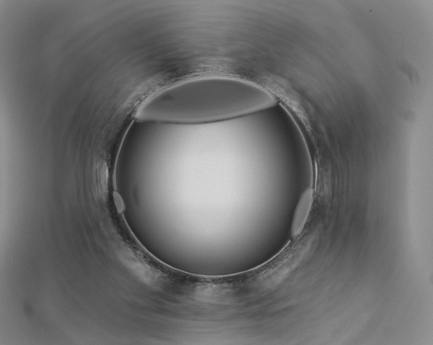 X0000112890109200908211502