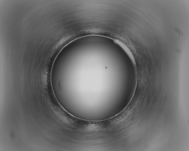 X0000112890111200908211502