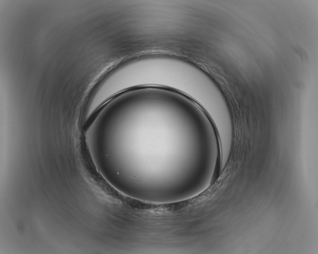 X0000112890112200908211502