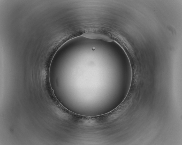X0000112890113200908211502