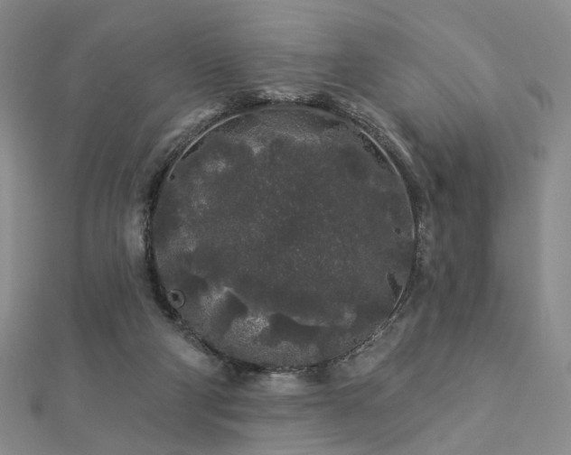 X0000112890114200908211502