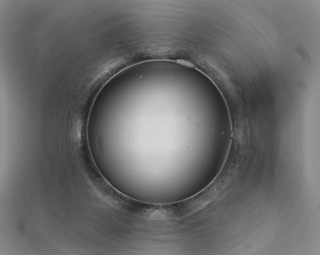 X0000112890115200908211502