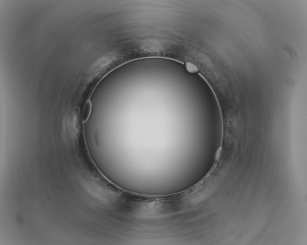 X0000112890116200908211502