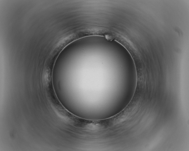 X0000112890119200908211502