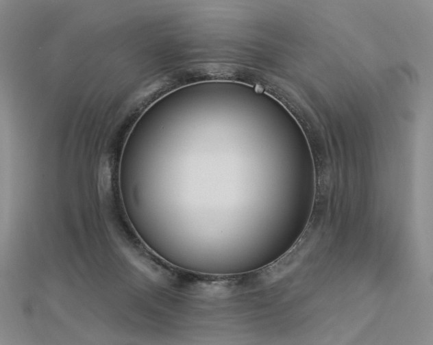 X0000112890120200908211502