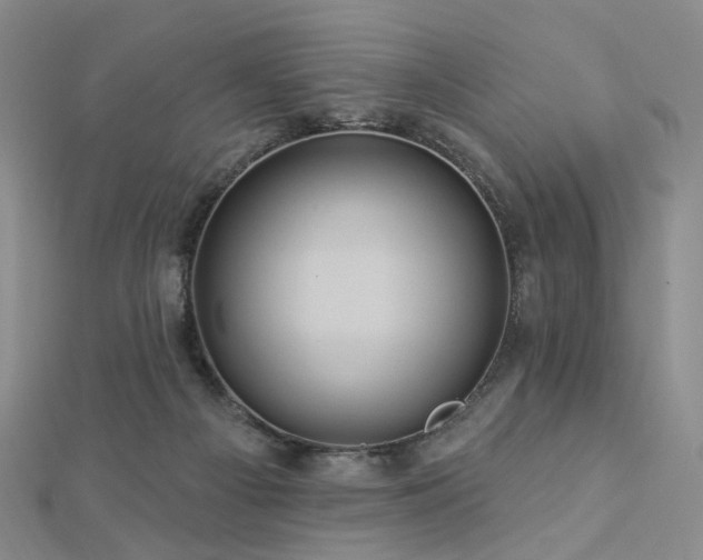 X0000112890121200908211502