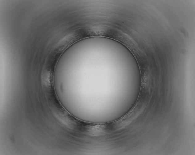 X0000112890122200908211502