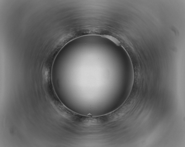 X0000112890123200908211502