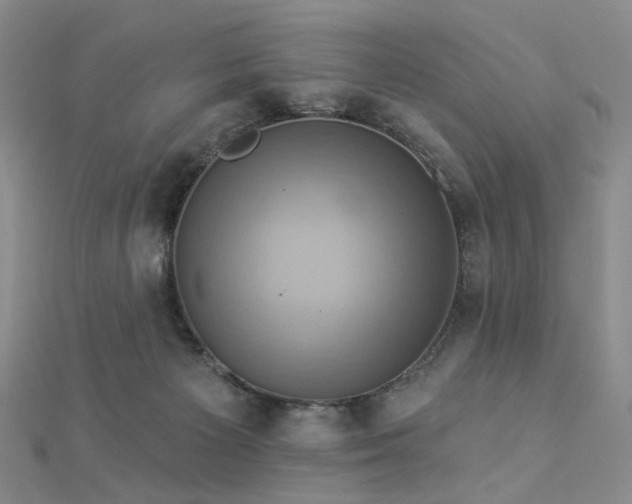 X0000112890125200908211502