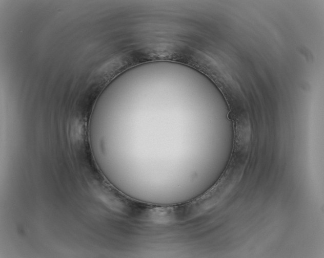 X0000112890126200908211502