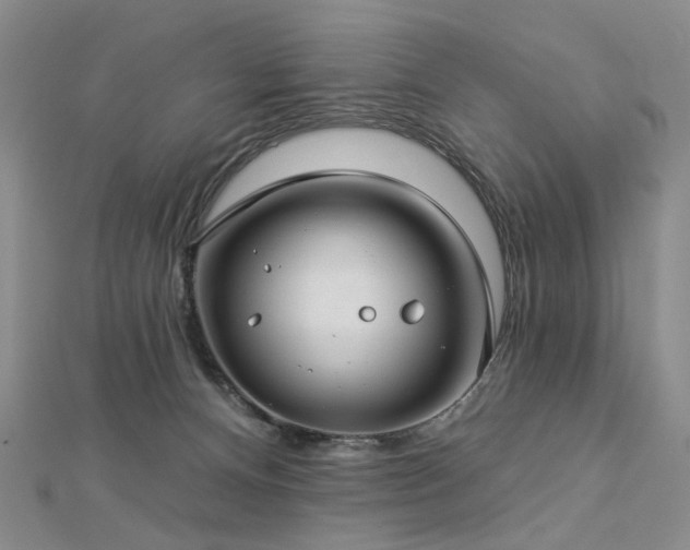 X0000112890128200908211502