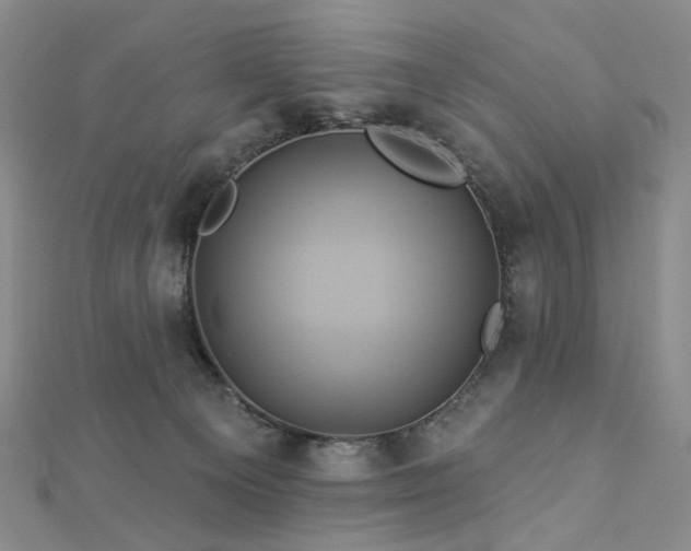 X0000112890129200908211502