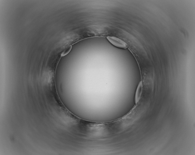 X0000112890132200908211502