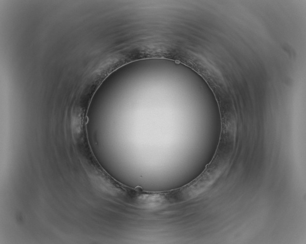 X0000112890133200908211502