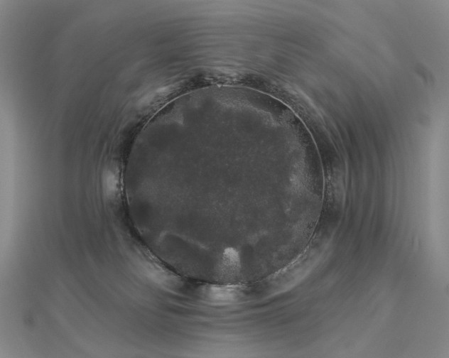 X0000112890134200908211502