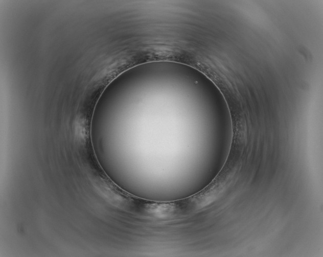 X0000112890135200908211502